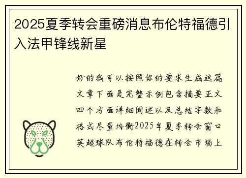 2025夏季转会重磅消息布伦特福德引入法甲锋线新星